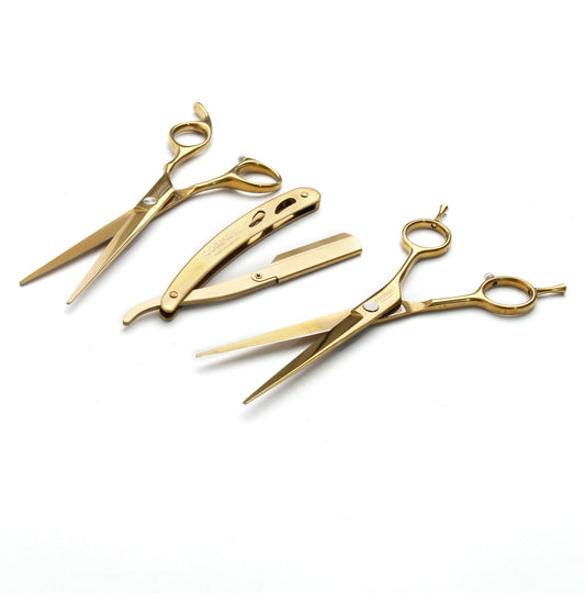 Set Tijeras X2 + Barbera CMS Cosmos 6.5"